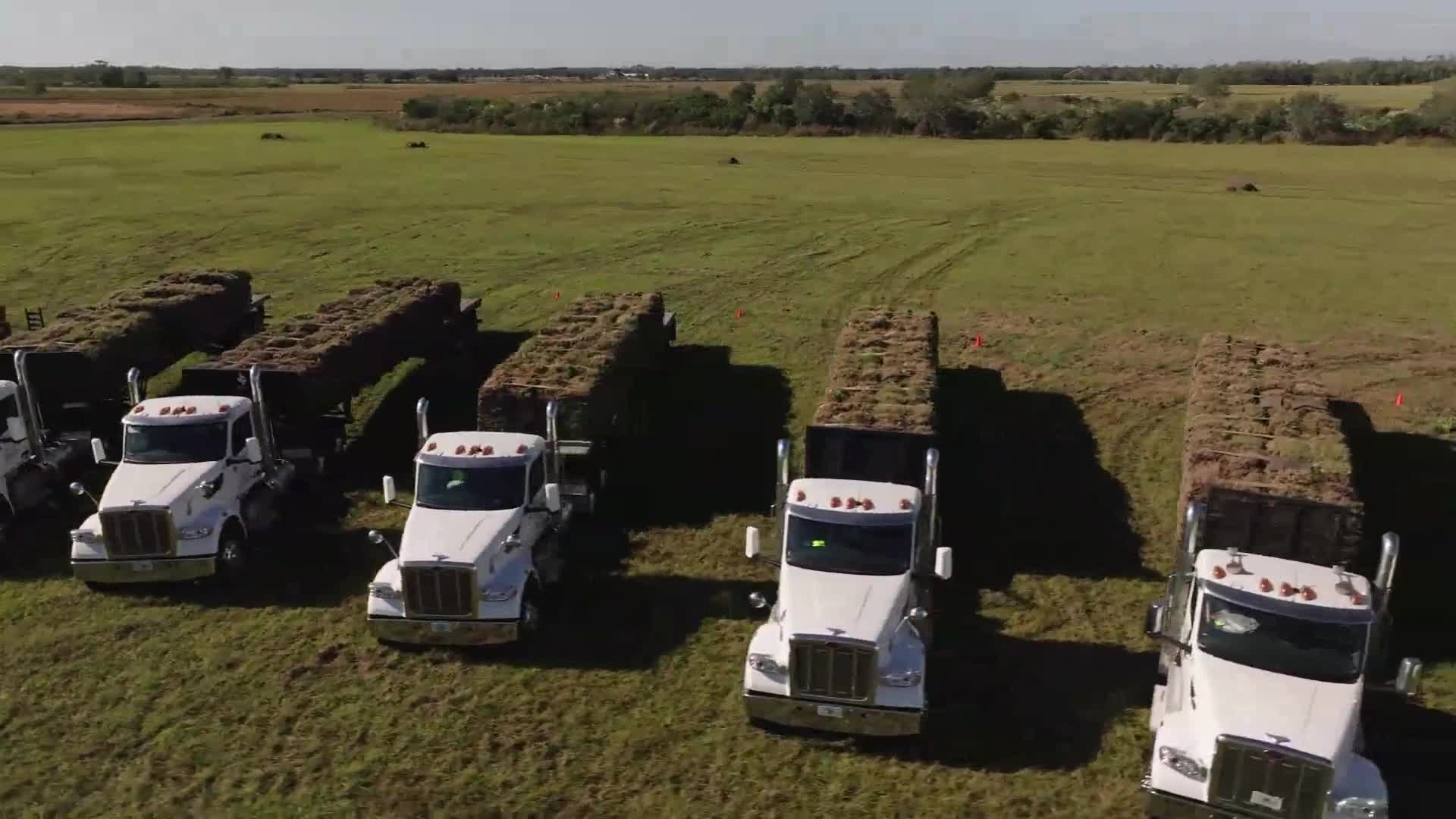 Sod delivery placeholder